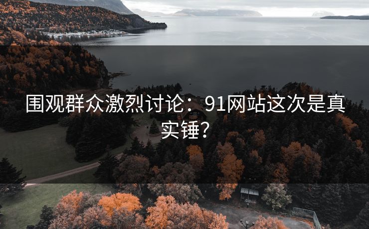 围观群众激烈讨论：91网站这次是真实锤？