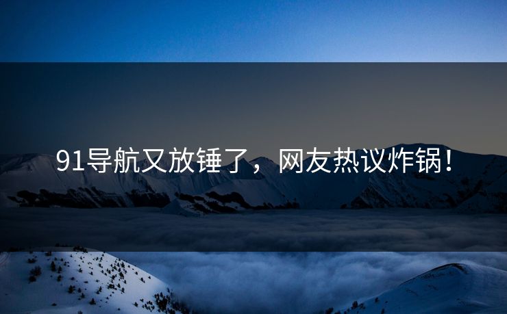 91导航又放锤了，网友热议炸锅！