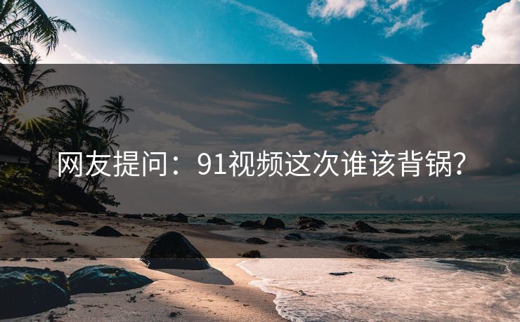 网友提问：91视频这次谁该背锅？
