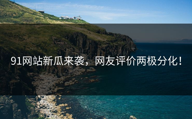 91网站新瓜来袭，网友评价两极分化！