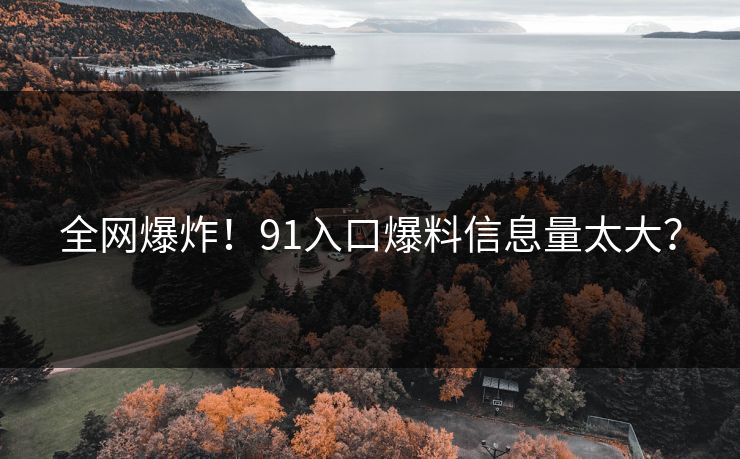 全网爆炸！91入口爆料信息量太大？