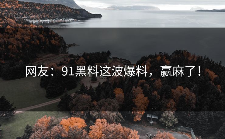 网友：91黑料这波爆料，赢麻了！