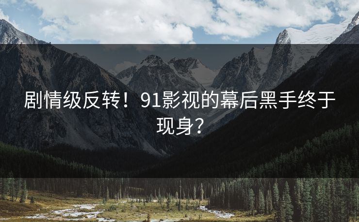剧情级反转！91影视的幕后黑手终于现身？