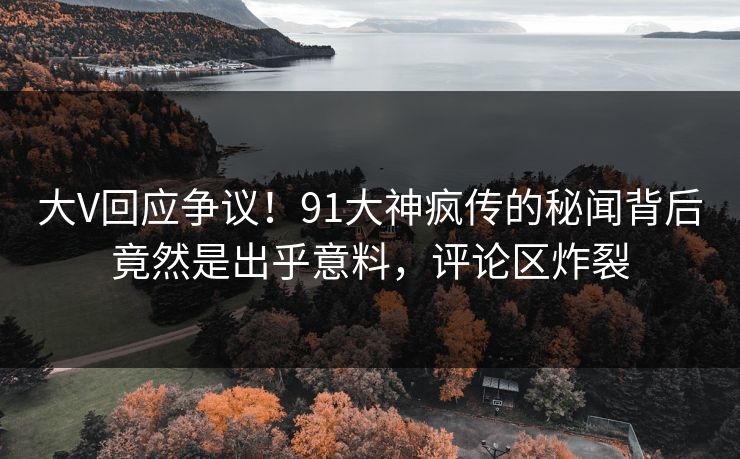 大V回应争议！91大神疯传的秘闻背后竟然是出乎意料，评论区炸裂