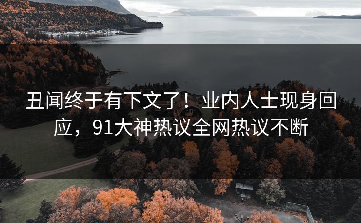 丑闻终于有下文了！业内人士现身回应，91大神热议全网热议不断