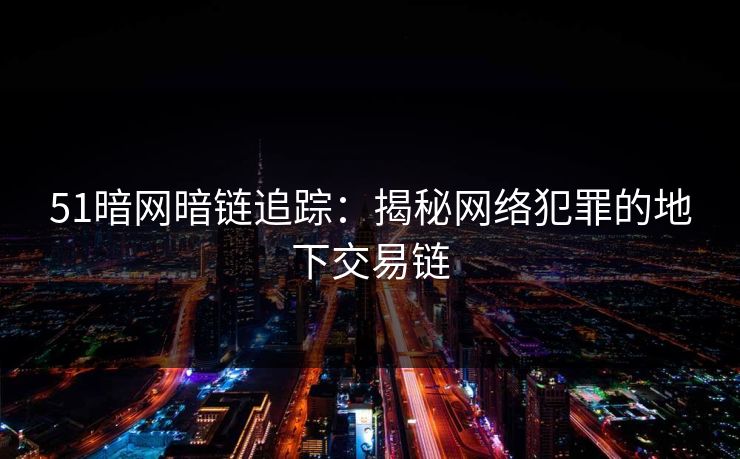 51暗网暗链追踪：揭秘网络犯罪的地下交易链