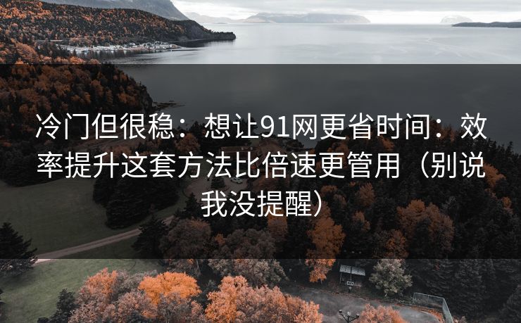 冷门但很稳：想让91网更省时间：效率提升这套方法比倍速更管用（别说我没提醒）